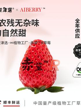 桃萤津选 赤望「R」草莓 AIberry联名 O农残 4D垂直农场产 礼盒SF