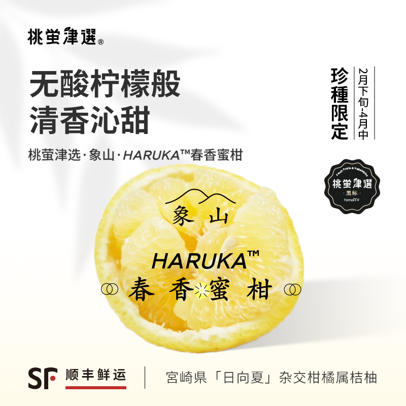 桃萤津选 HARUKA™春香蜜柑 日引梦幻甜感桔柚 象山产 礼盒装 SF,水产肉类/新鲜蔬果/熟食,桔子,淘宝优惠券,粉丝福利购,淘宝优惠卷