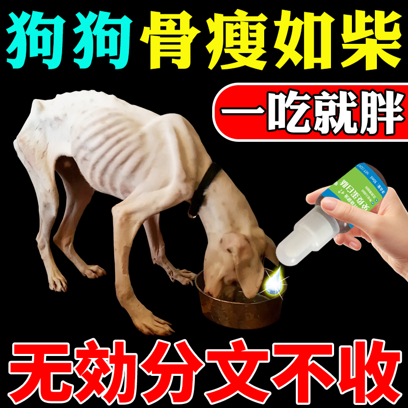 狗狗快速增肥长肉发腮开胃增食欲挑食不爱吃饭狗粮益生菌调理肠胃