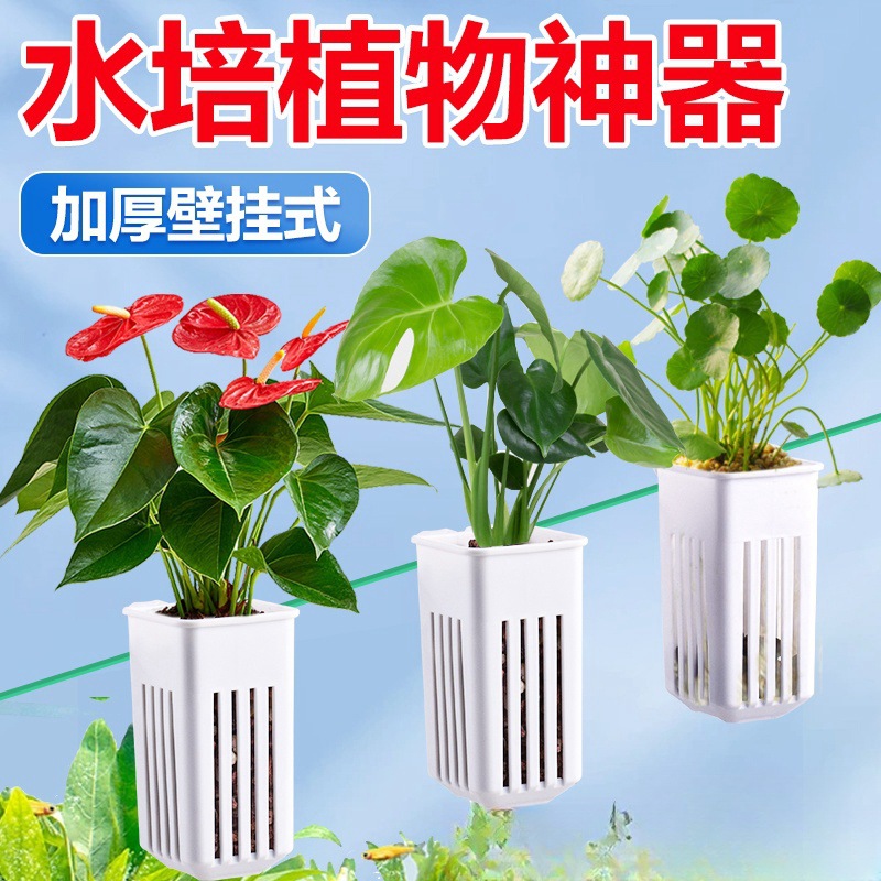 鱼缸挂壁水培植物篮家用水草种植杯挺水植物定植篮鱼缸造景装饰