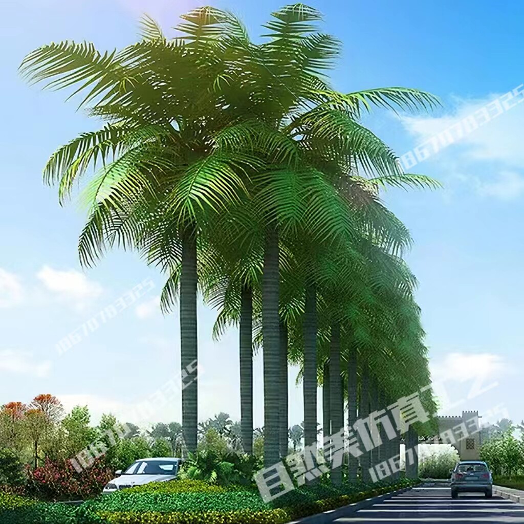 仿真椰子树棕榈树室内外亚热带人造景观绿植落地装饰大型仿生假树