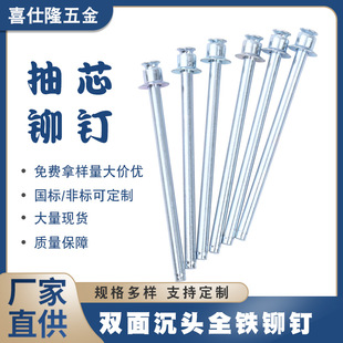 喜仕隆双面沉头拉钉抽芯铆钉双沉头铁拉钉全铁不锈钢拉铆钉铝铆钉