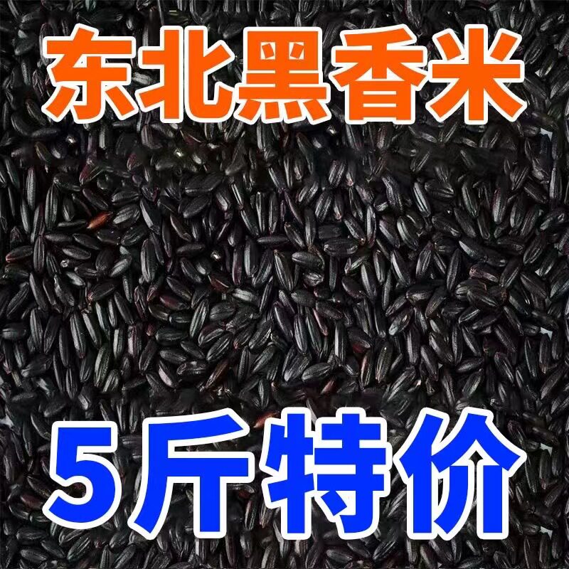 东北五常黑米新米五谷杂粮孕妇大红紫血糯米糙米粗粮粥官方旗舰店