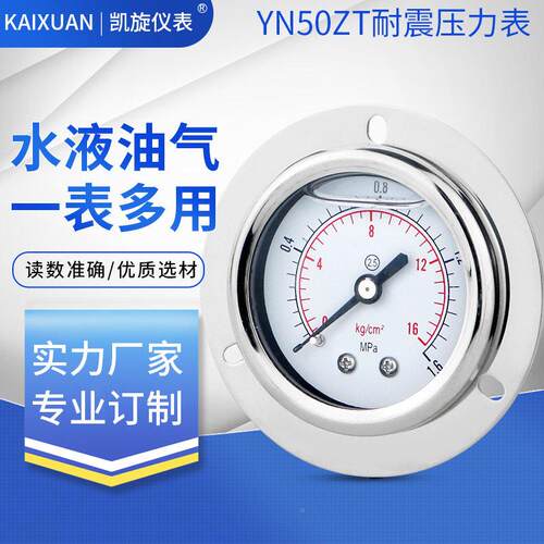 耐震压力表YN50T轴向YN50ZT轴（规背接式）Z带边 格齐 全
