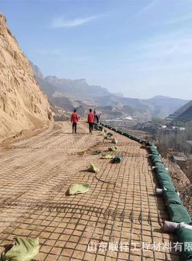 双向钢塑复合土工格栅GSGS0-100路基0加筋EKAG1SZ08-80钢塑土工格
