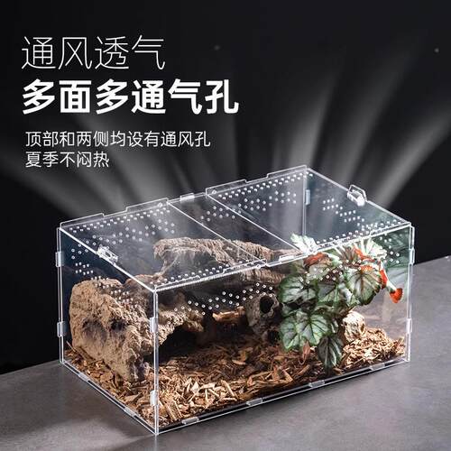 亚力透守明爬养宠饲养盒睫角宫蜘蛛蝎子螳螂克爬虫箱拼装饲防尘盒