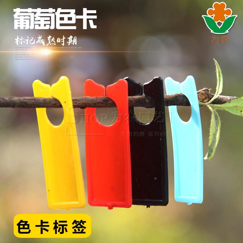葡萄记号牌 SK040瓜果标记 色葡萄标记牌西瓜标记牌 甜牌瓜分批处图片