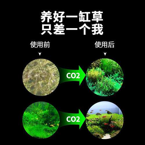 疯狂水草二氧化碳发生器co2小钢瓶水草缸套装自制气瓶鱼缸专用.属于什么档次？