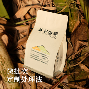 【国补】特写 猪和吉他 微批次定制处理 黑布林/蜜瓜/竹叶