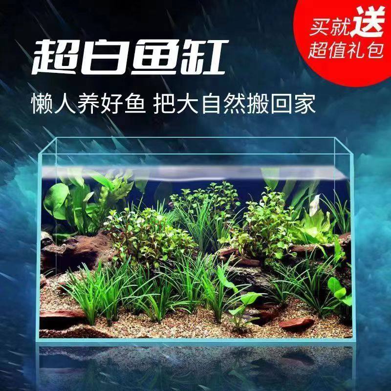 金晶超白玻璃直角鱼缸生态造景桌面鱼缸中小型水族箱水草缸溪流缸