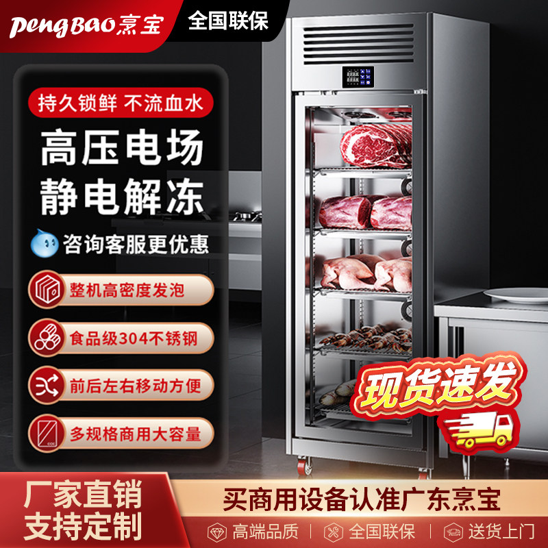 商用解冻柜高压静电解冻低温冷藏大容量猪羊牛肉抑菌化冻机排酸柜