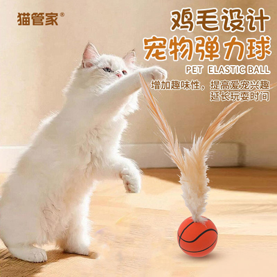 猫玩具弹力球自嗨解闷神器