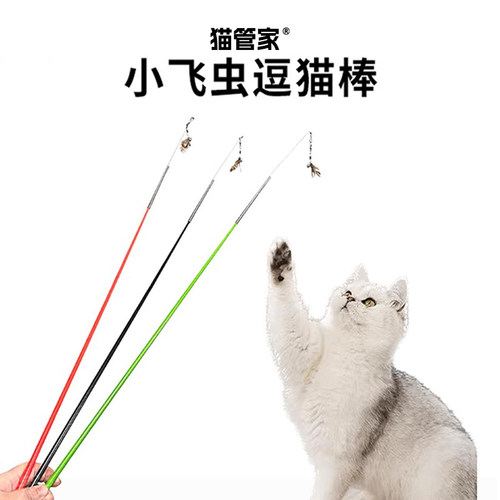 逗猫棒仿真小飞虫加长杆钢丝