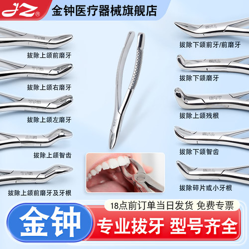 【官方旗舰店】金钟不锈钢拔牙钳