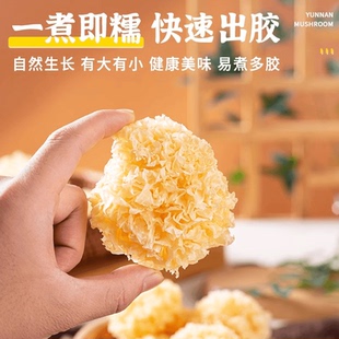 古田椴木小银耳银耳特产500g软糯出胶小朵炖煮100g莲子银耳白木耳