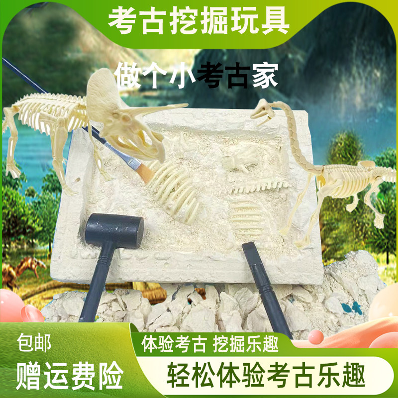 恐龙化石考古挖掘玩具儿童寻宝藏图片