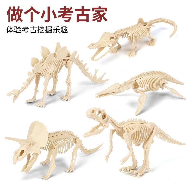 恐龙化石拼装恐龙骨架模型考古玩具儿童手工diy 宝藏标本霸王龙图片