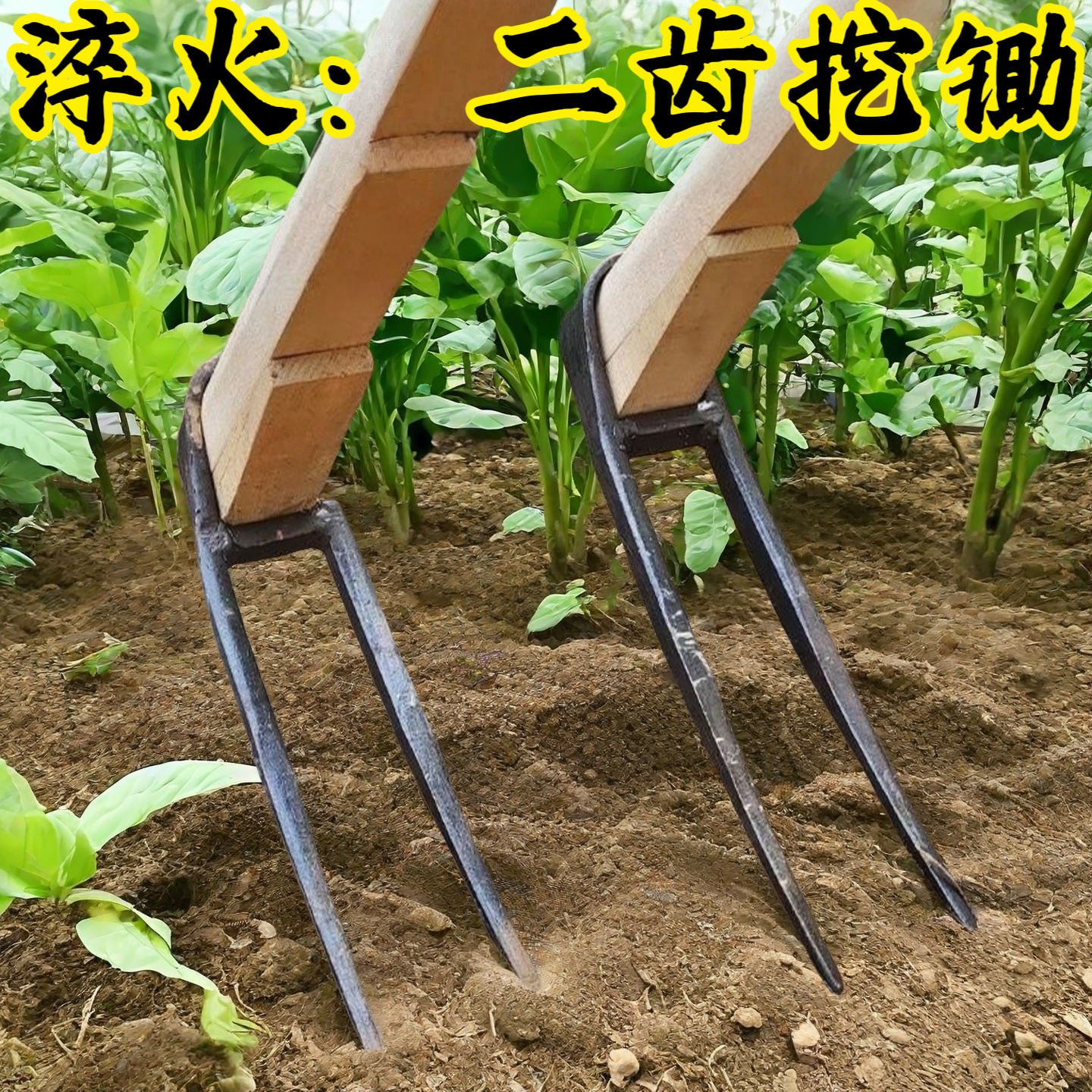 大号二齿耙子农用老式锰钢锄头