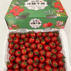 现货小番茄小番茄羽鸣农场