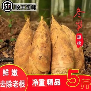 【顺丰包邮】新鲜现货现发福建建瓯冬笋黄泥笋高山野生两头尖竹笋