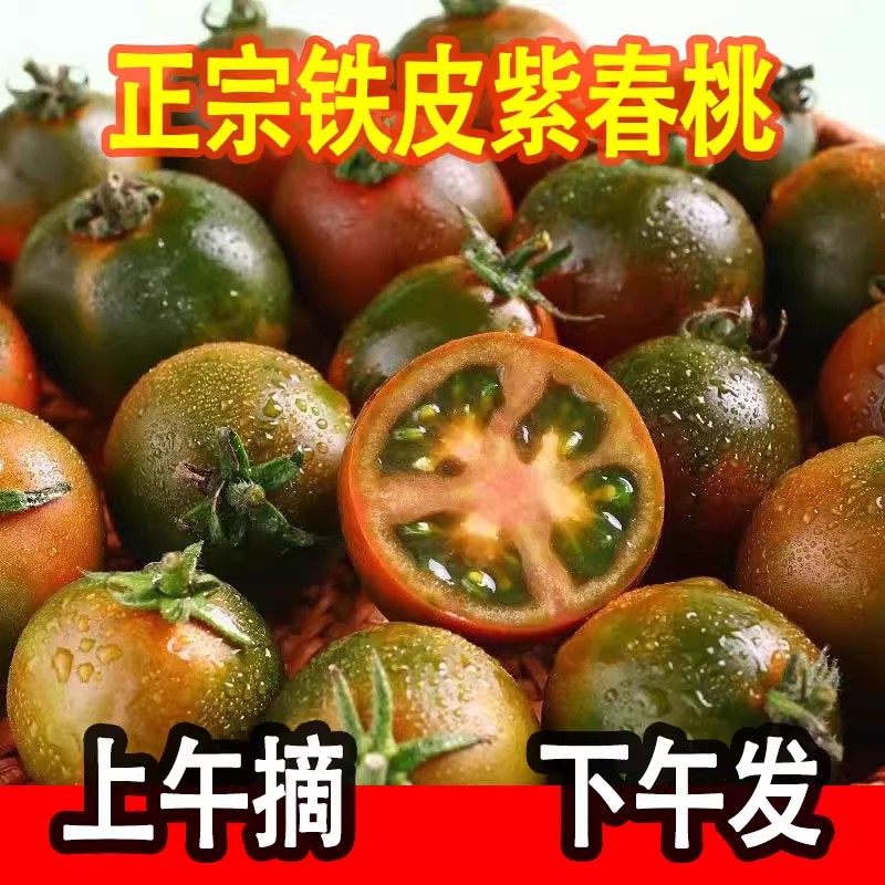 新鲜紫春桃巧克力西红柿黑番茄黑春桃紫宝石番茄孕妇生吃水果包邮,水产肉类/新鲜蔬果/熟食,番茄,淘宝优惠券,粉丝福利购,淘宝优惠卷