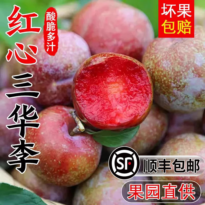 【顺丰包邮】三华李子新鲜红心李芙蓉李当季孕妇水果酸甜脆李子