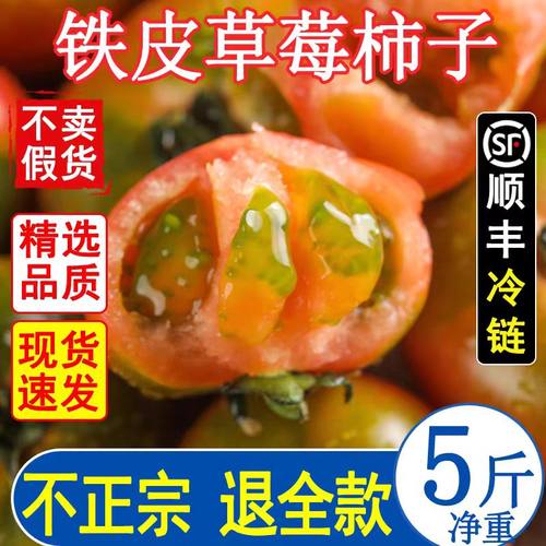 丹东盐碱地铁皮柿子草莓5