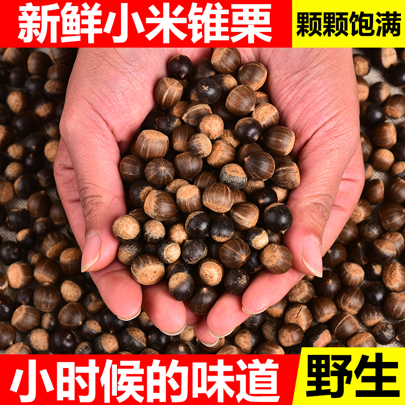 毛栗子羽鸣农场产地直供野生