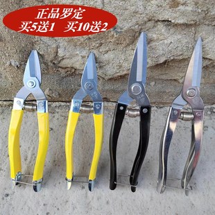 摘果剪园艺修枝剪稀果剪刀水果桔子采果剪刀采果剪罗定摘果剪包邮