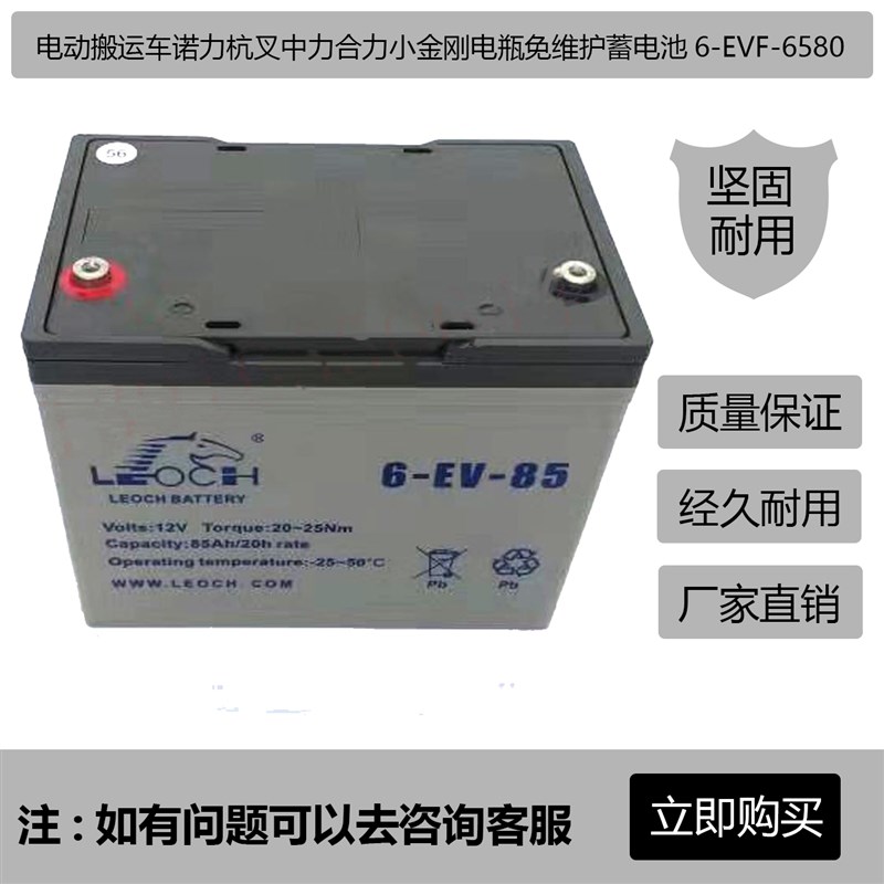 电动搬运车诺力杭叉中力合力小金刚电瓶免维护蓄电池6-EVF-65/80