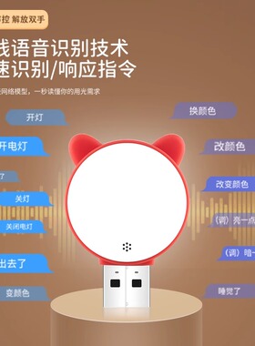 人工智能语音小夜灯LED卧室床头懒人睡眠台灯声控感应灯USB控制灯