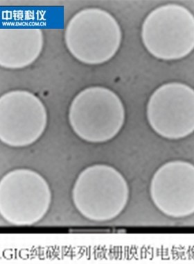 中镜科仪  GIG纯碳阵列微栅膜