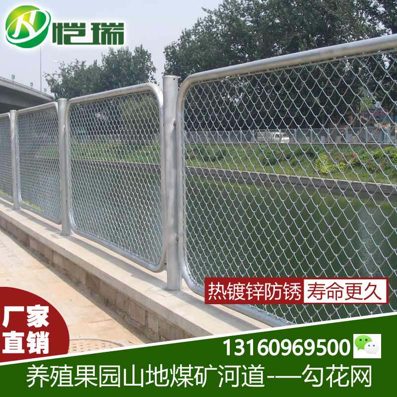 护栏网/铁丝网/防护网/镀锌勾花网/菱形围栏/球场围栏网 隔离网