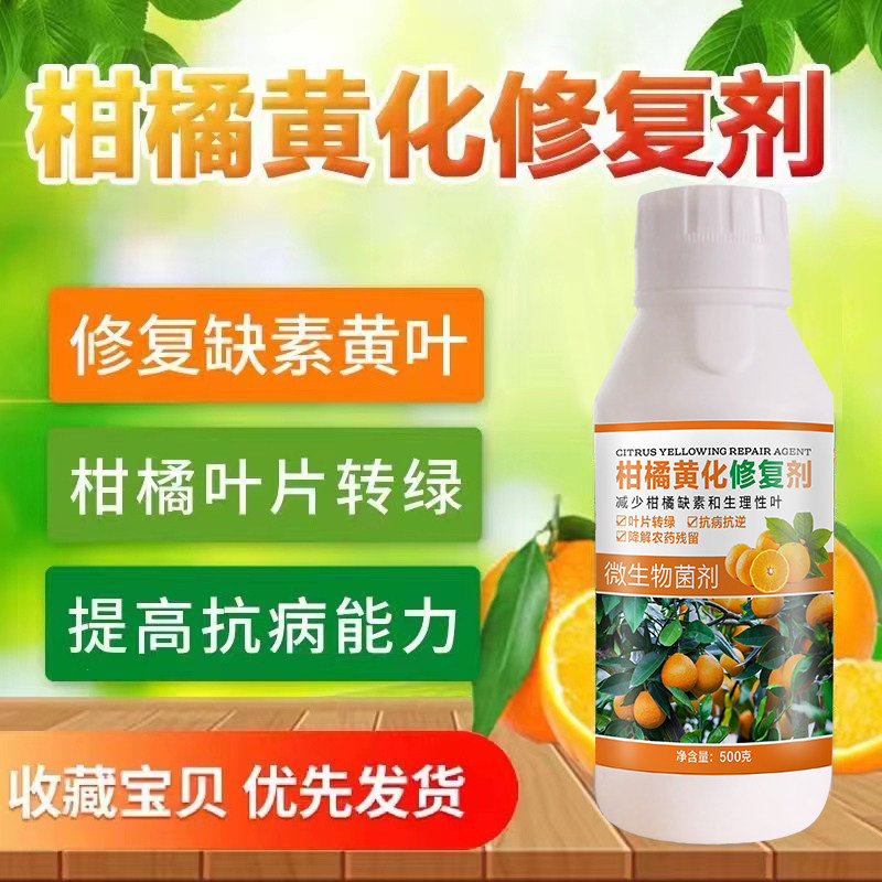果树黄化专用药农用柑橘修复剂黄龙症红鼻子病脐橙柚桔子树杀菌剂
