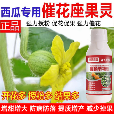 西瓜专用授粉药座果膨大素坐果灵甜瓜蜜瓜催花促果防落防裂膨大剂
