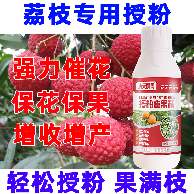 荔枝授粉座果灵荔枝强力授粉保花保果防落果防裂坐果灵荔枝授粉药