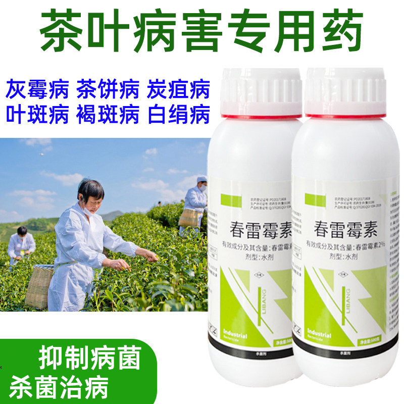 茶树茶叶黑点病杀菌剂春雷霉素 茶霉病茶饼病根腐病芽枯病专用药