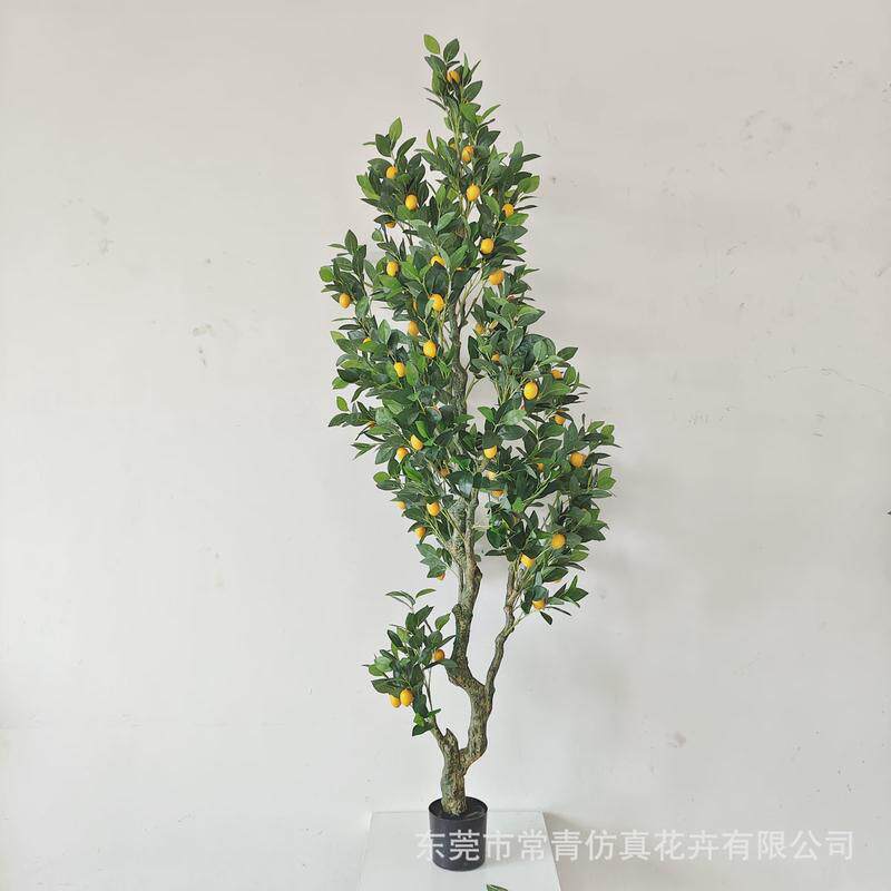 常青桔子树商场仿真软装装饰盆栽造景设计店铺加密款橘子树