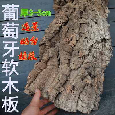 大灰狼葡萄牙软木板树皮植板鹿角蕨兰花生态缸雨林造景爬宠躲避