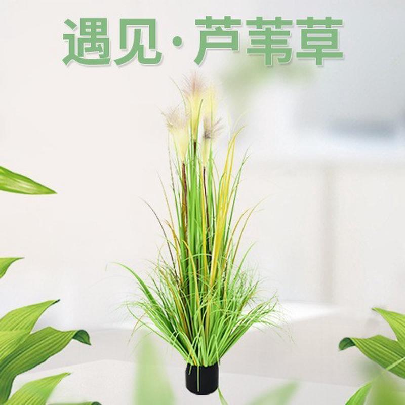 北欧仿真芦苇洋葱草盆栽办公植物客厅室内造景摆件仿真绿植装饰