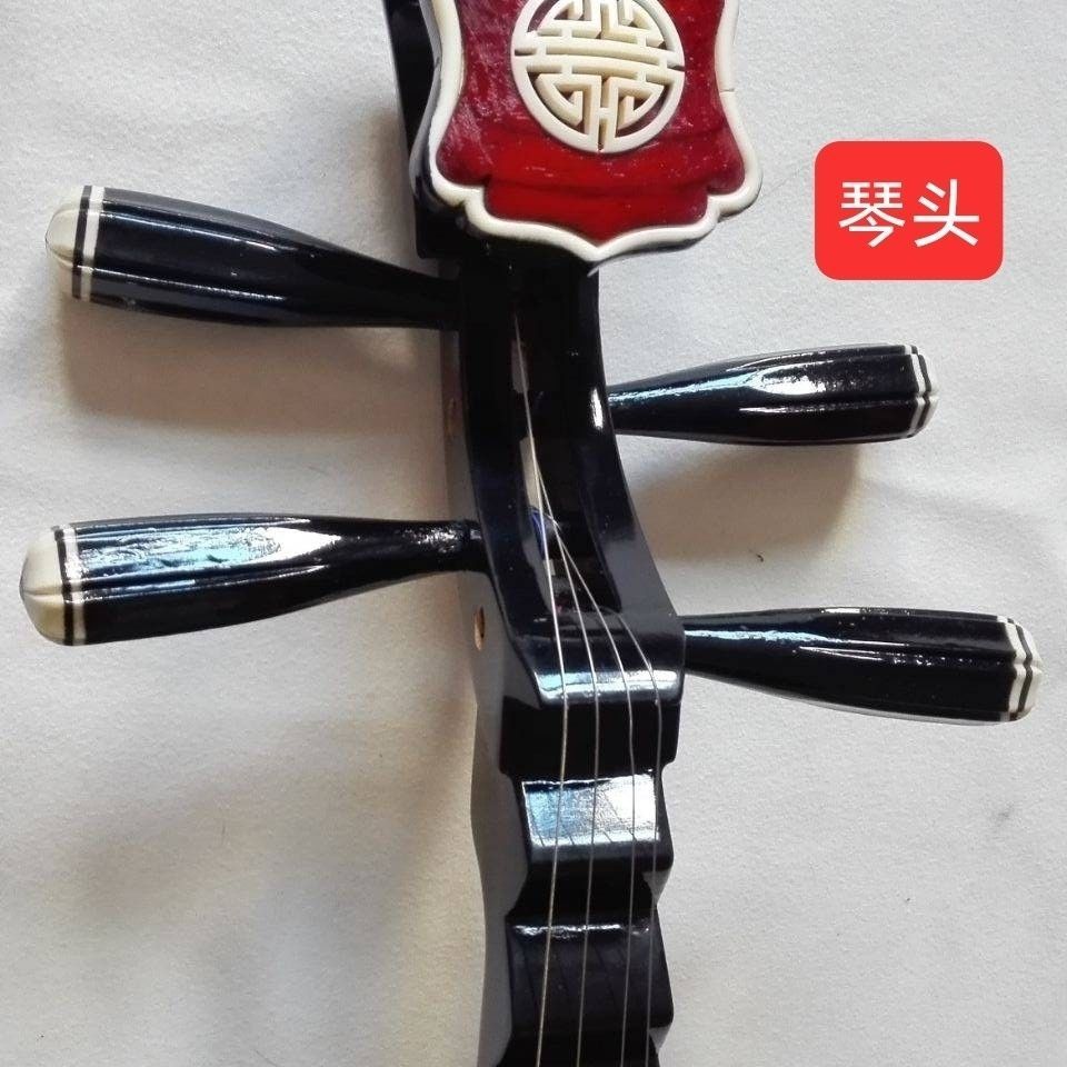 成人儿童琵琶初级练手古典民族乐器琴高端黑色送配件六件套