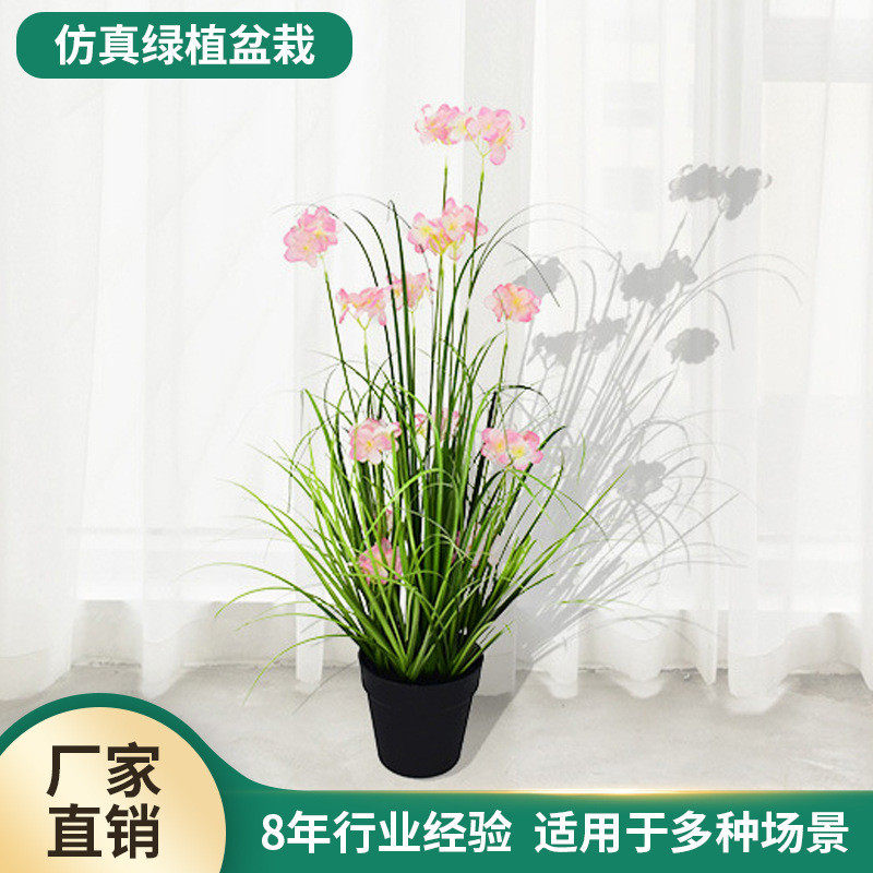 草洋葱仿真盆景洋葱草绿植家居摆件假树假草假花仿真绿植兰花盆栽