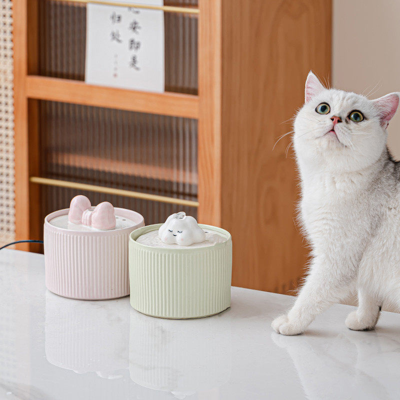 猫用可爱饮水机宠物用品卡通云朵猫咪喂水自动循环恒温加热饮水机