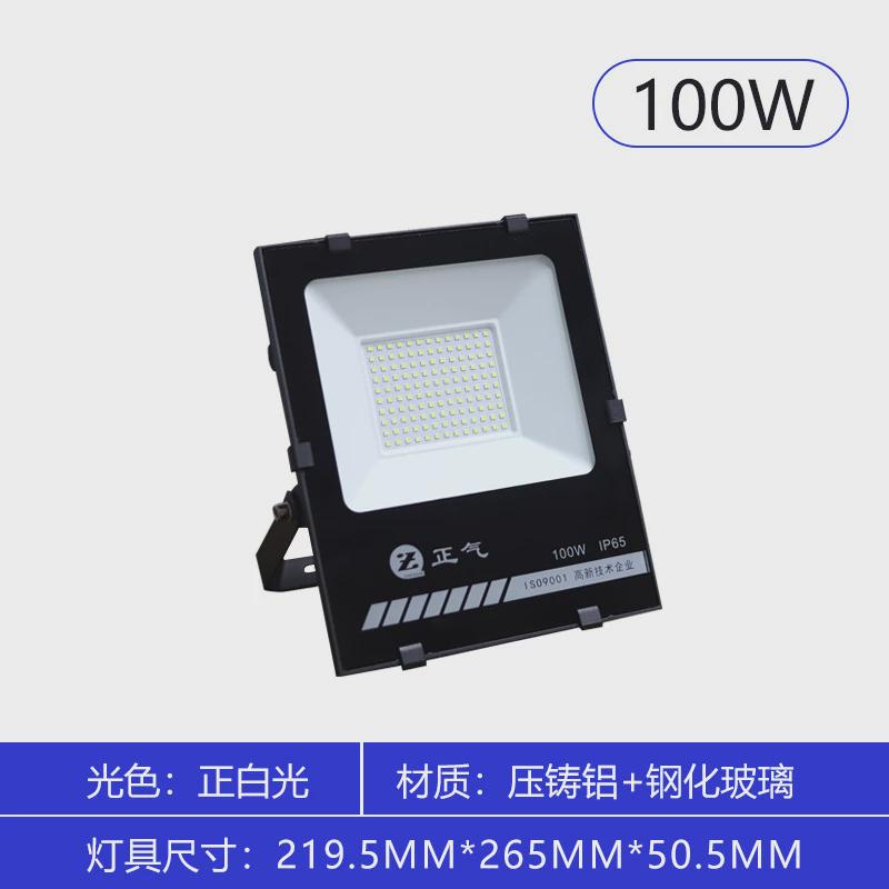 户外led防水投光灯高亮足功率道路景区工程施工高杆灯照明泛光灯