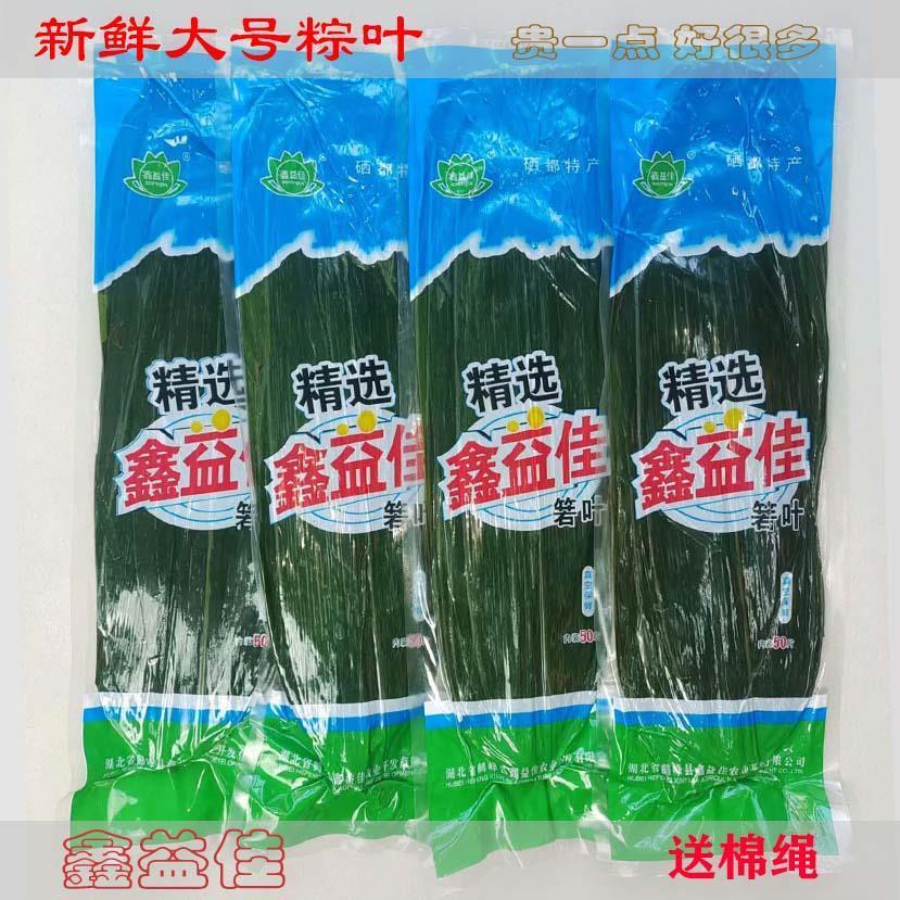 。。鑫益佳新鲜大粽叶野生箬叶端午节可包咸甜蛋黄粽子非干粽叶大