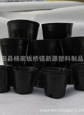 营养钵批发厂家供应营养杯15x13杯育苗黑色