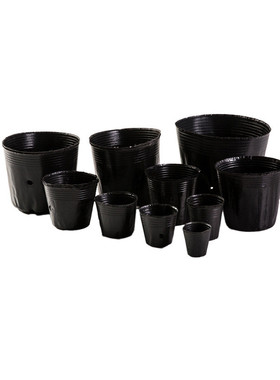 黑色批发厂家供应营养杯15x13营养钵育苗杯
