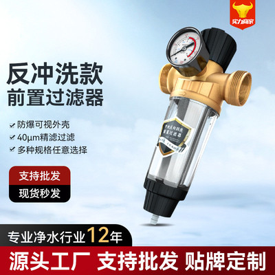 管道前置过滤器大流量反冲洗黄铜防爆带压力表可视自来水过滤器