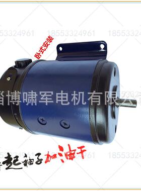 线切割直流电机专用110sz53/h6伺服直流电机110v308w3000转