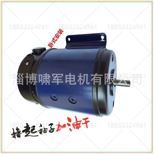 110SZ02伺服直流电机220V博山微电机1500转123W交直流电机